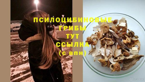 прущие крисы Алексеевка