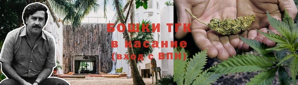 ГАЛЛЮЦИНОГЕННЫЕ ГРИБЫ Абдулино