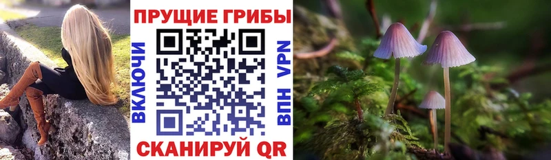 Галлюциногенные грибы GOLDEN TEACHER  цены   Собинка 